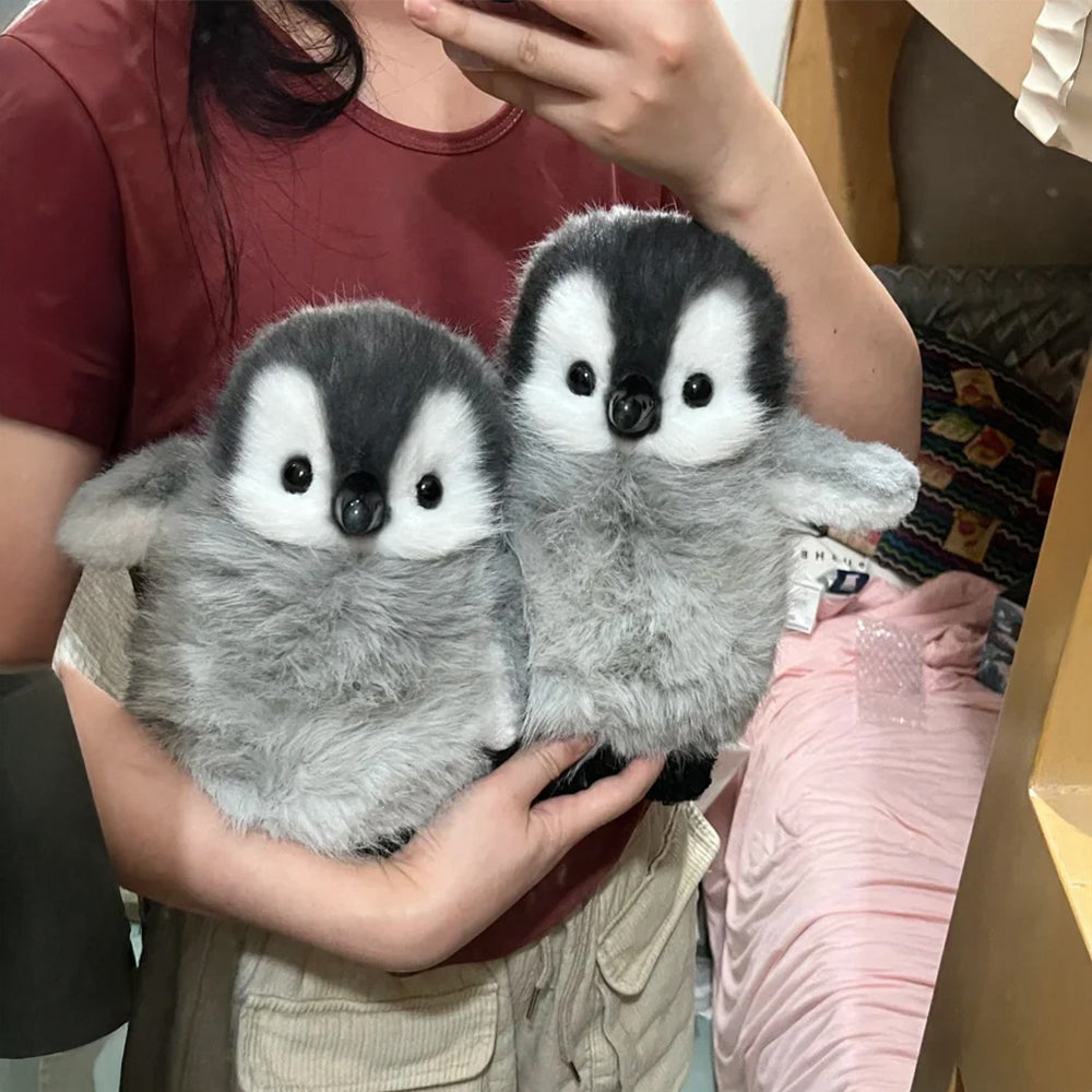 Plush Toy